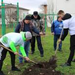 В Белоглинском районе появился «Сад Памяти»