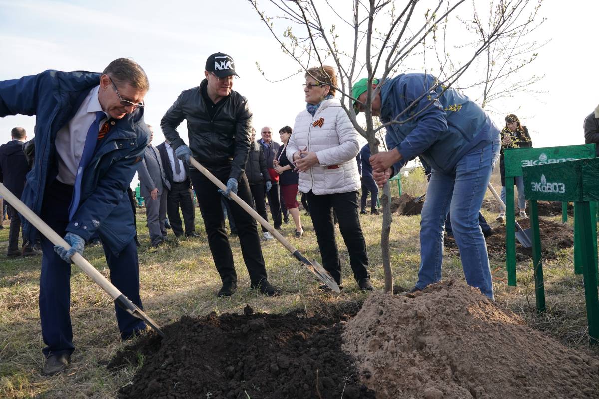 Возродим лес вместе»: в Тольятти проходит массовая акция по посадке леса,  организованная «Единой Россией»