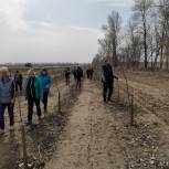 В Новохоперске привели в порядок аллею, высаженную в честь Великой Победы
