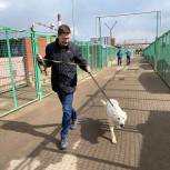 Единороссы Москвы оказали помощь столичным приютам для  бездомных животных