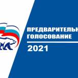 «Единая Россия» помогает волонтерам подготовиться к выборам