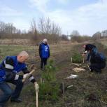 Единороссы Первомайского района навели порядок на объектах городской среды
