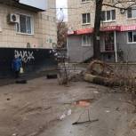 Алексей Мастеров: «Единая Россия» возьмет на контроль инцидент с падением дерева на человека в Красноармейском районе