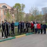 На территории первой городской больницы в Саратове появилась «Аллея поколений»