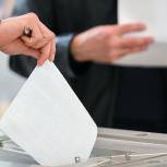 «Единая Россия» получила 73% мест в органах местного самоуправления по итогам выборов 4 апреля