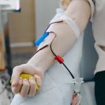Жизнь течет по венам: В Национальный день донора волонтеры «Единой России» посетили пункт переливания крови