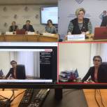 В Мурманске сторонники Партии провели онлайн родительское собрание по теме «Безопасный интернет»