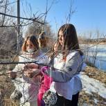 В Волгоградской области партийцы приняли участие в экологической акции «Покормите птиц!»