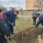 Единороссы Азовского района приняли участие в древонасаждении