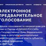 Почему волонтеры участвуют в предварительном голосовании «Единой России»?