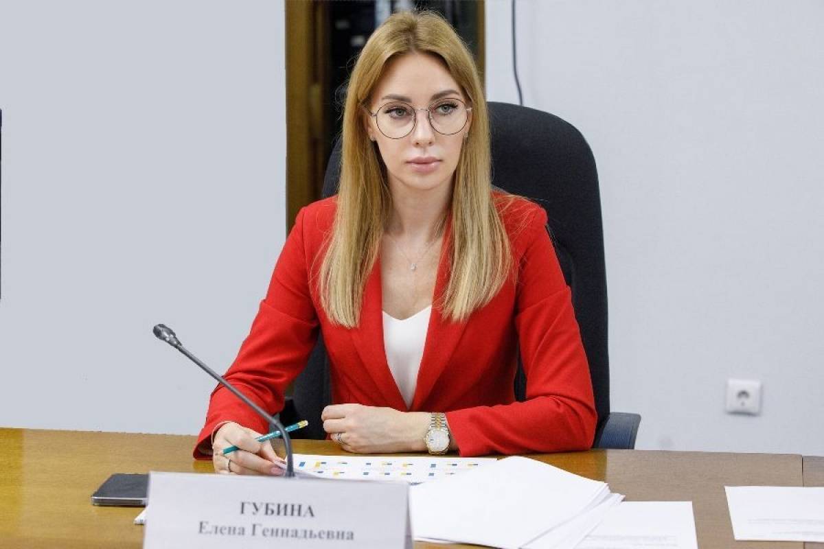 Елена Губина провела прием граждан