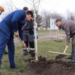 В Тихорецке стартовала международная акция «Сад памяти»