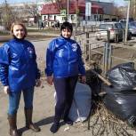 Больше двадцати активистов «Единой России» вышли на уборку в Академическом округе Томска