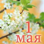 Геннадий Новосельцев поздравляет с праздником!