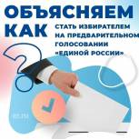 Началась регистрация избирателей на предварительное голосование «Единой России»