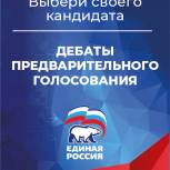 В Башкортостане 6 апреля стартуют дебаты участников предварительного голосования