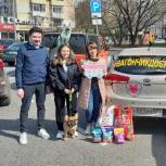 Волонтеры  «Единой России» оказали помощь московским приютам для животных