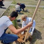 К акции «Сад Памяти» присоединились добровольцы «Единой России» со многих районов города