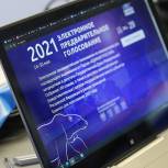 Началась регистрация избирателей на предварительное голосование «Единой России»