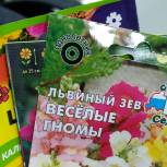 Грибановские единороссы собирают семена для Донбасса