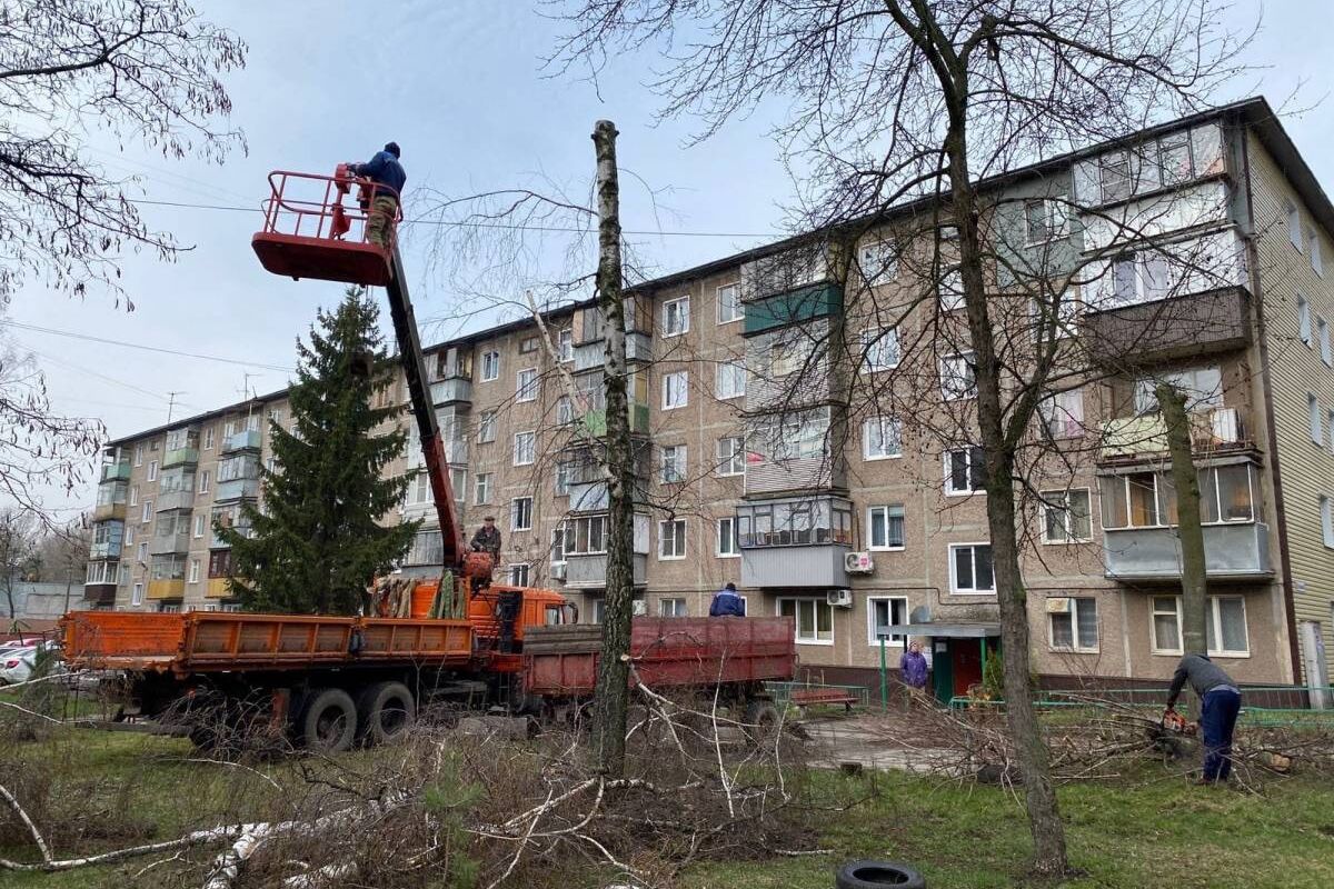 Людмила Шашенкова оказала помощь в благоустройстве придомовой территории