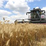 В России за последние семь лет увеличился выпуск сельхозпродукции и производство продуктов питания