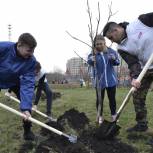Белгородские партийцы присоединились к Всероссийской патриотической акции «Сад памяти»