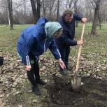 Николай Панков вместе с пугачевцами высадил саженцы берёз на Аллее воинской славы