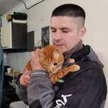 На Сахалине «Единая Россия» поддержала приют для бездомных собак и кошек