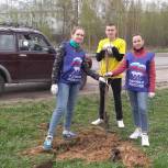 В Нижегородской области активисты «Единой России» приняли участие в международной акции «Сад памяти»