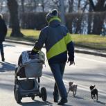 «Единая Россия» выступает за право на обеспечение одиноких отцов на получение маткапитала и детских пособий