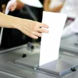 «Единая Россия» получила 70% мандатов на выборах в органы местного самоуправления