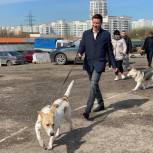 Московские единороссы передали «Приюту для бездомных животных ЮЗАО» более тонны кормов для собак