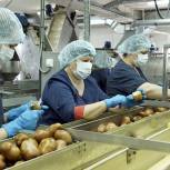 «Единая Россия» запустила проект по импортозамещению «Выбирай своё»