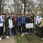 В Краснодаре волонтеры «Единой России» заложили Аллею Героев спецоперации на Донбассе