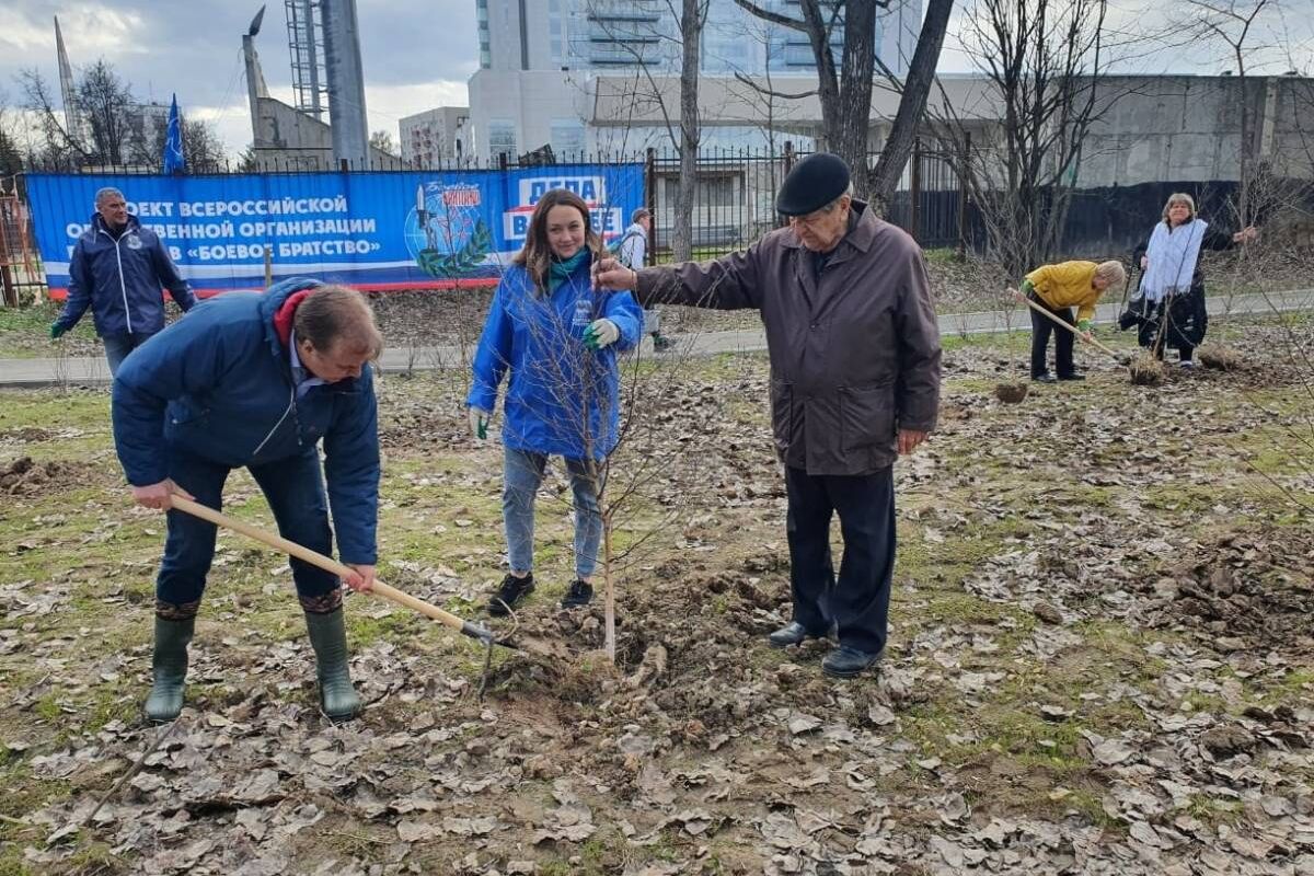 В районе Внуково появилась «Аллея Донбасса»