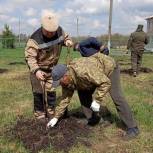 В Черемисиновском районе появился «Сад памяти»
