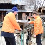 В Благовещенске и Москве «Единая Россия» помогла приютам для бездомных животных