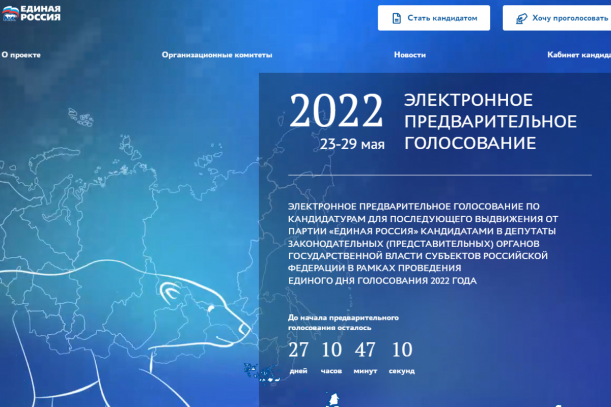 Предварительное голосование картинки