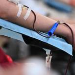 Ко Дню донора «Единая Россия» проведет акцию по сдаче крови по всей стране
