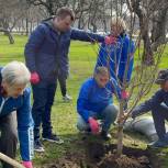 Яблони, сирень, черемуха: активисты «Единой России» высадили деревья в регионах