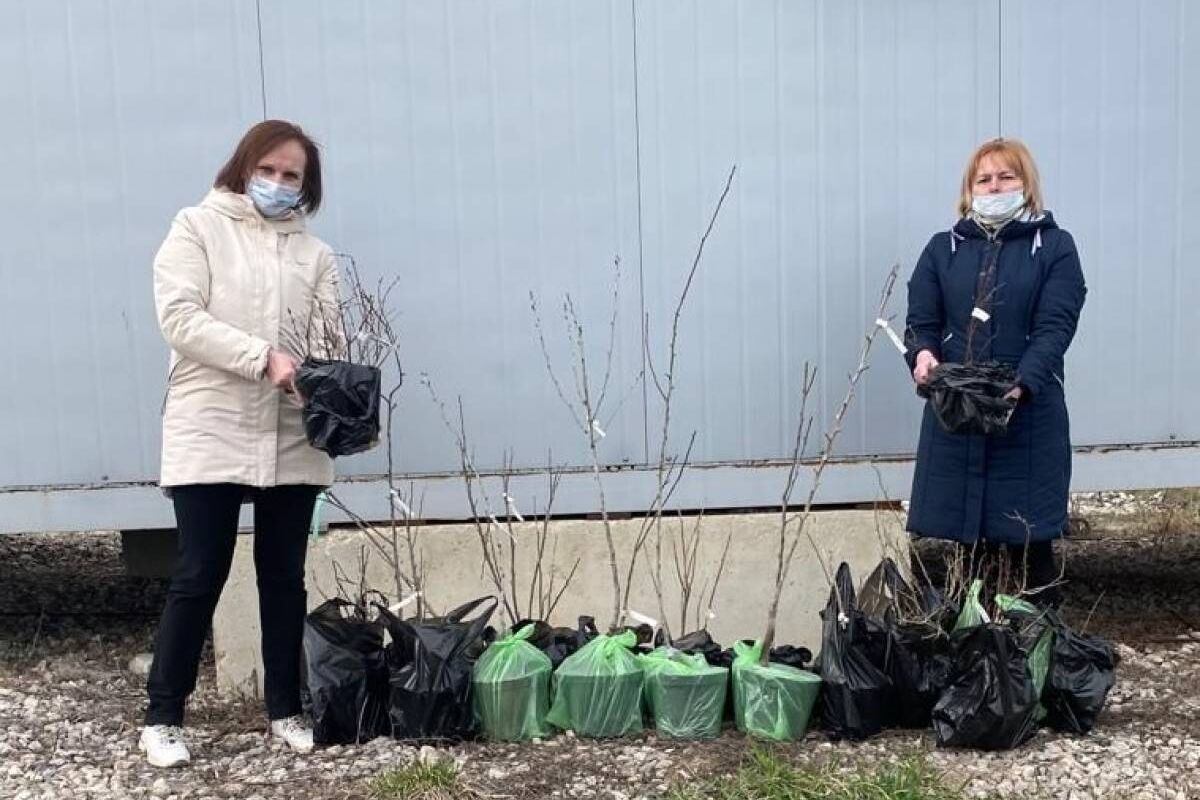 Виктор Дзюба: Провёл прием граждан, посвящённый вопросам дачных и  садоводческих товариществ