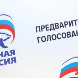 Срок выдвижения кандидатов на предварительное партийное голосование «Единой России» в Иркутской области продлен до 16 мая