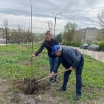 При поддержке «Единой России» в Ставропольском крае состоялась акция «Сад памяти»