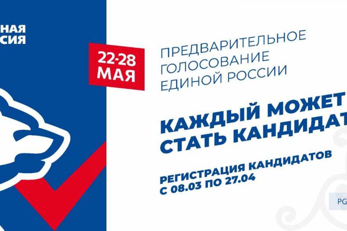 Выдвижение кандидатов голосование. Выдвижение кандидатов голосование
