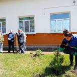 В Приморском крае единороссы высадили деревья на территории коррекционной школы