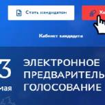 «Хочу проголосовать». Смоляне уже могут зарегистрироваться на сайте предварительного голосования «Единой России» в качестве избирателей