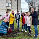 При содействии «Единой России» в Россоши высадили деревья около детского технопарка