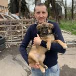 Молодогвардейцы Ивановской области оказывают помощь не только людям, но и животным!