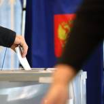 «Единая Россия» получила 85% мандатов на выборах в органы местного самоуправления